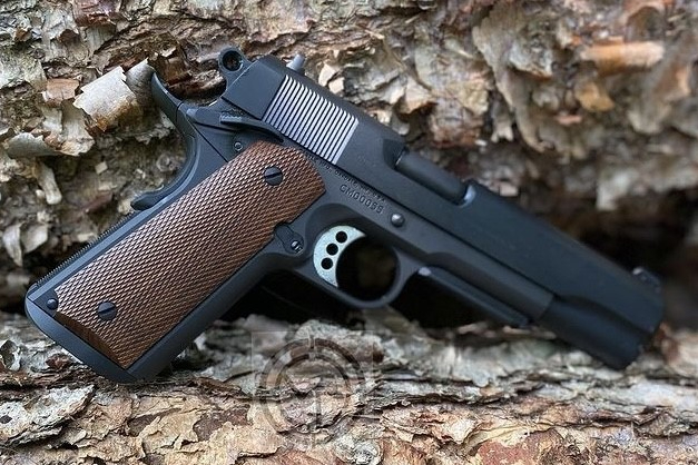 Delta 1911 — view 2